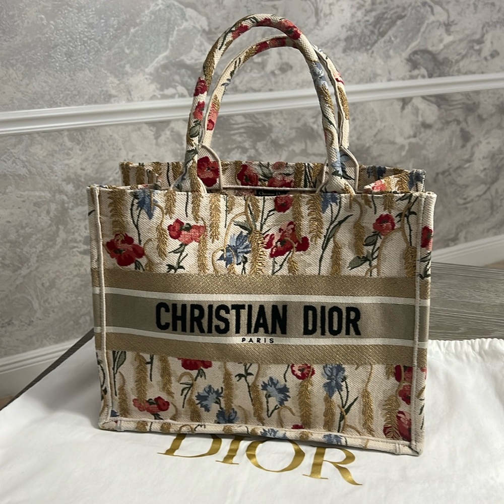 Small Dior Book Tote